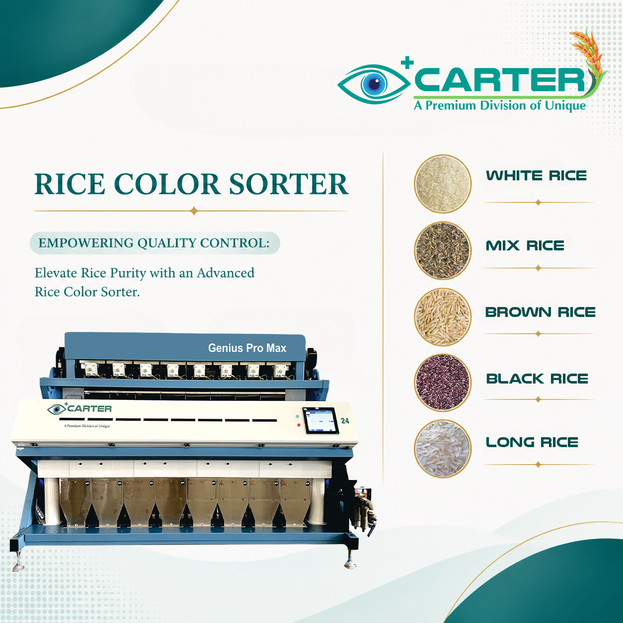 Carter Unique Group: Pioneering Excellence in Color Sorting