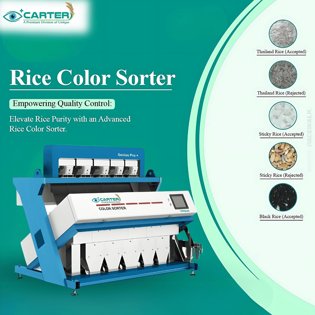 Grain Color Sorter